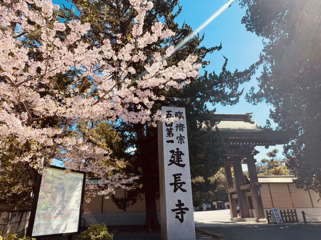 【鎌倉】ゆったりおさんぽ・寺社と食巡り旅