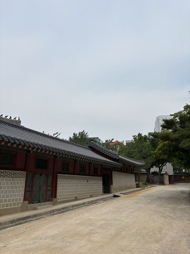 아이와 가기 좋은 덕수궁 박물관🫡