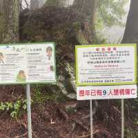 🚶‍♂️阿里山眠月線健行｜沼平車站 ⇄ 石猴車站