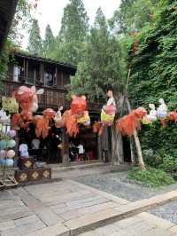 Worth a visit to Wuzhen