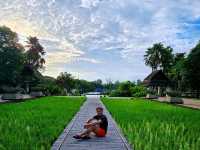 ทวาราวดี รีสอร์ท ปราจีนบุรี เป็นส่วนตัว ร่มรื่น