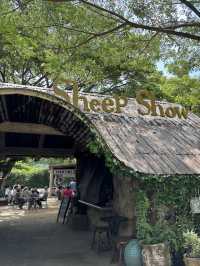 The Scenery Vintage Farm สวนผึ้ง🐑🌳