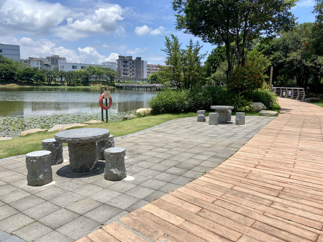 深圳萬豐湖濕地公園✨🌴城市中的自然綠洲🏞️