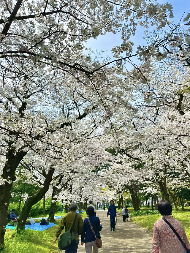 โอซาก้า🇯🇵