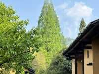 🌿 走進歷史｜井岡山茨坪毛澤東同志舊居，紅色初心之旅