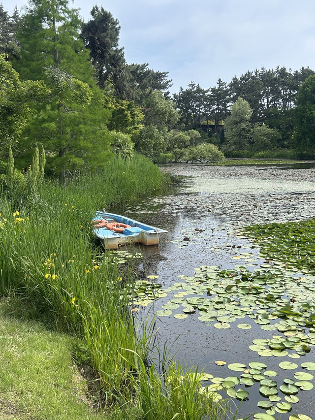 🌳 바다를 품은 식물들의 낙원, 천리포수목원