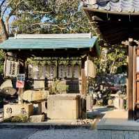 Tranquility at Maruyama Park, Kyoto