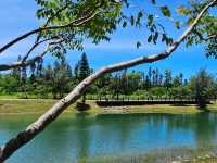 恍如仙境的台東森林公園琵琶湖