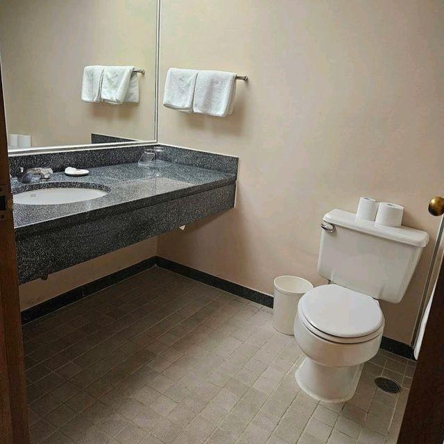Swiss Grand Hotel Seoul – 季節泳池，市景優勢