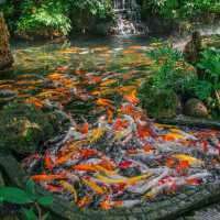  คาเฟ่ในป่าบรรยากาศสบายตาเขียวชะอุ่ม