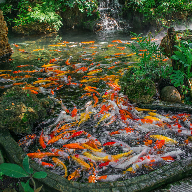  คาเฟ่ในป่าบรรยากาศสบายตาเขียวชะอุ่ม