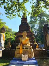 วัดป่าสว่างบุญ