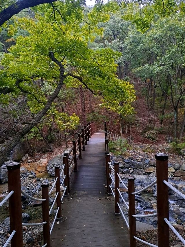 Forest Trails & Chill Peaks in Jangyu