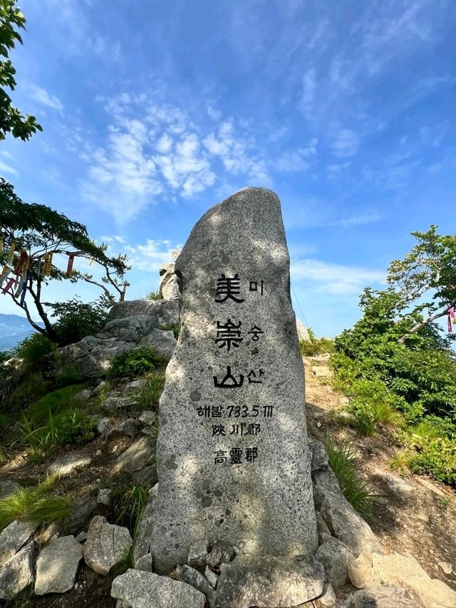 Misungsan Forest Feels