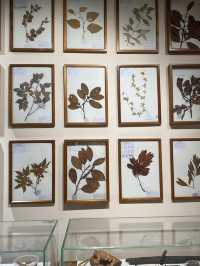 A Living Legacy of Agriculture – My Visit to the South China Agricultural Museum (华南农业博物馆)