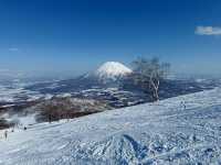 盡亨羊蹄山美景的滑雪場⛷️