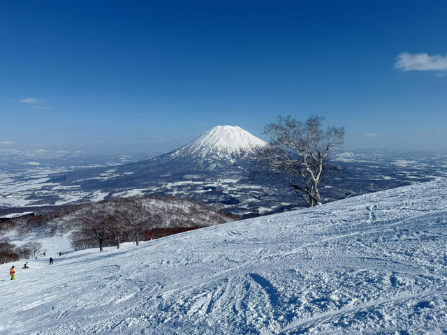 盡亨羊蹄山美景的滑雪場⛷️