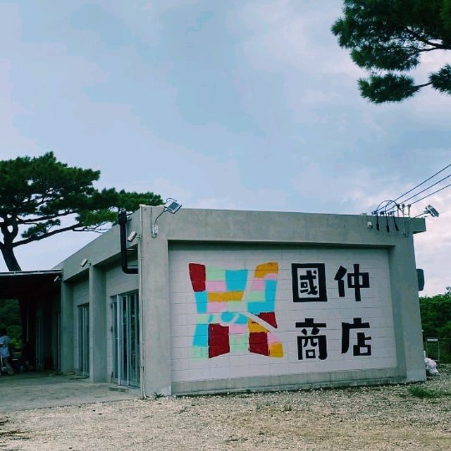 미야코지마 블루 터틀 투어 – 바다 위 액티비티와 바다거북의 조우 🌊🐢
