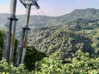 🚡 Maokong Gondola Summer Day Trip Guide