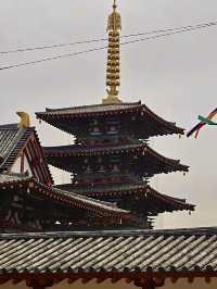 โอซาก้า🇯🇵