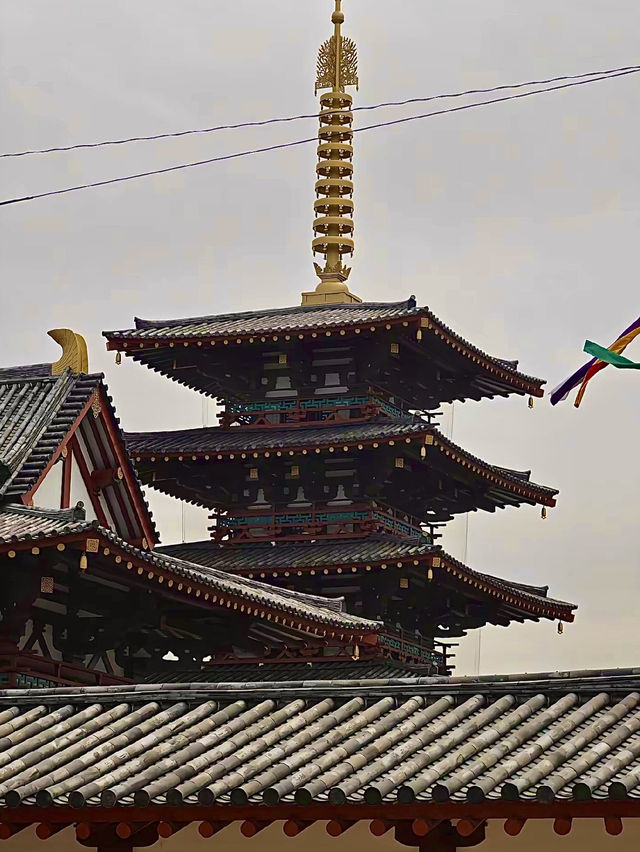 โอซาก้า🇯🇵