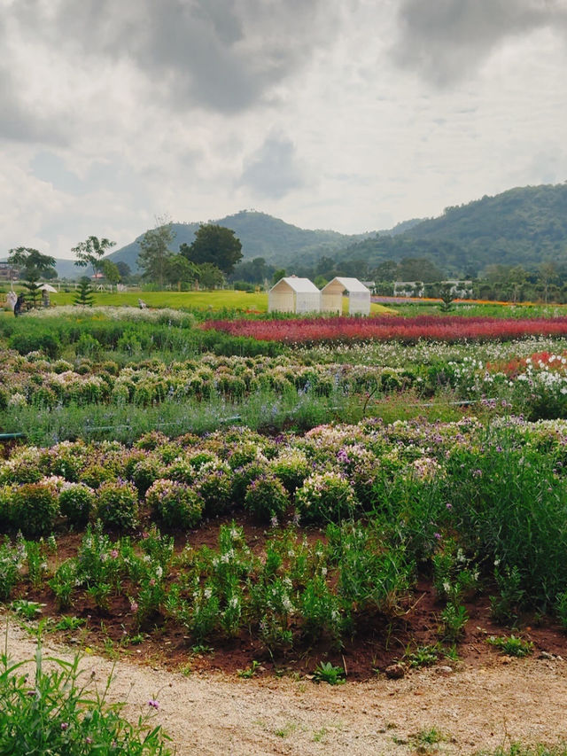 ✨Blossom Bloom Bliss – A Fairytale Café in Khao Yai