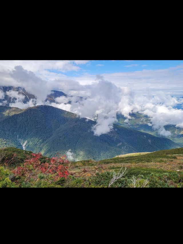 🏔️長野・白馬八方尾根｜絶景とアクティビティが楽しめる山岳リゾート 