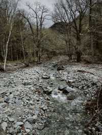 ระหว่างทางเดินไปสะพานคปปะ (Kamikochi) 🩵