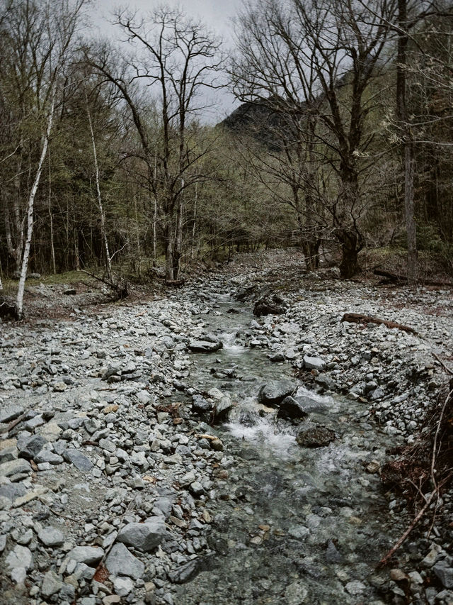 ระหว่างทางเดินไปสะพานคปปะ (Kamikochi) 🩵