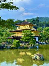 โอซาก้า🇯🇵