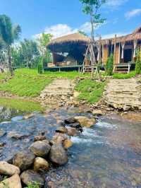 The Green Paradise cha-om  