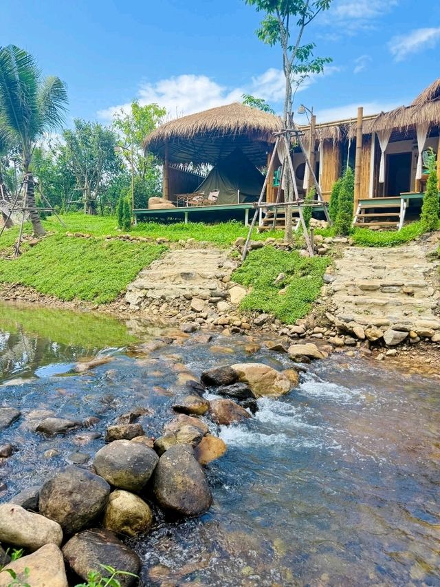 The Green Paradise cha-om  
