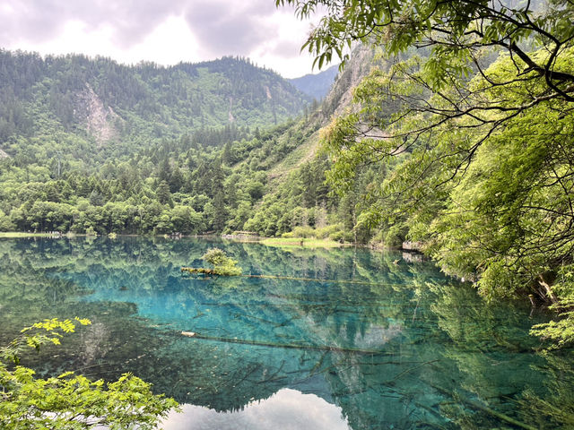 🏞️Epic Nature Combo: Huanglong + Jiuzhaigou Summer Adventure