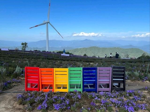 Wind, Hills, and Major Vibes at Gamaksan Wind Farm