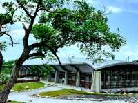 在鳥的天堂，與牠們交朋友：宜蘭甲鳥園體驗記