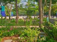 The flower festival at Boramae Park