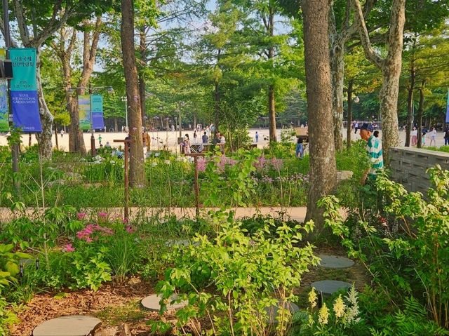 The flower festival at Boramae Park
