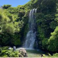 Summer Serenity: Discovering Jeju's Traditional Charm