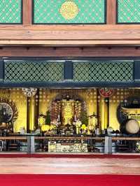 Kushida Shrine&Tochoji Temple