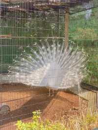 ～新竹市立動物園～優雅動物王國～