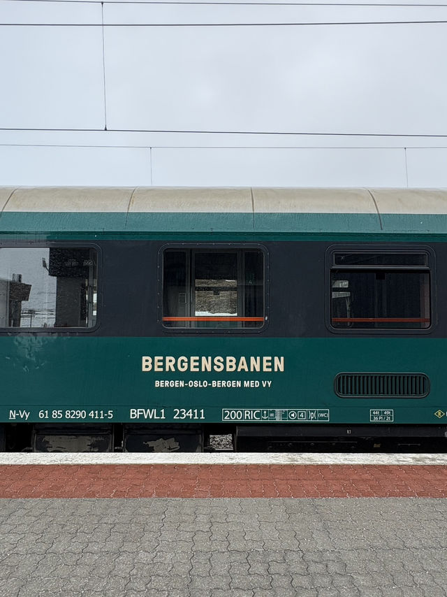 Bergen City Walk & Fjord Cruise – A Perfect Norwegian Day