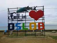 Join 1day Oslob Tour with Trip.com