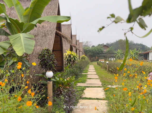 🌿 รีวิวที่พัก “ปายในฝัน” | นอนกลางหุบเขา💚