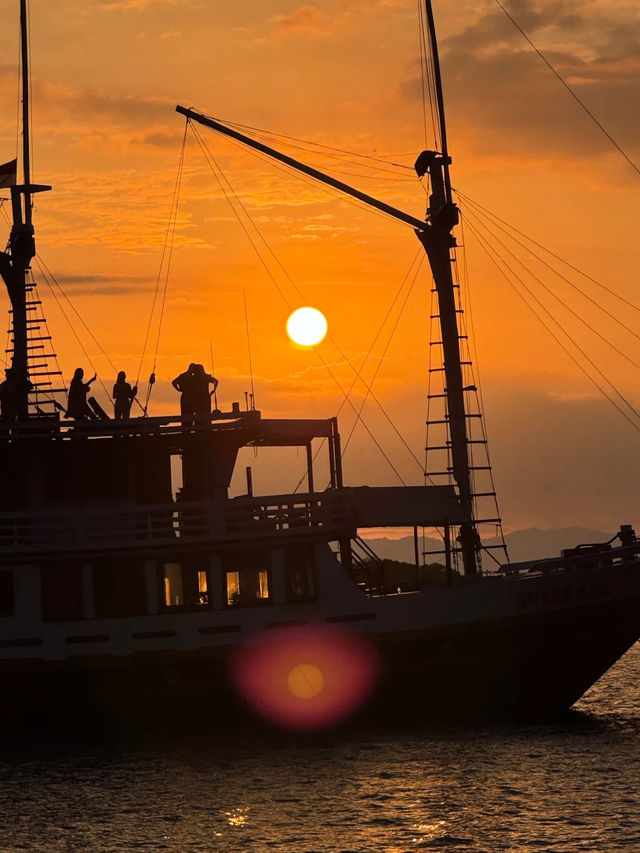 Forget Bali — Komodo Island is the Real Hidden Gem of Indonesia! 🇮🇩🐉