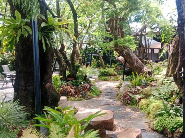 อเมซอนคาเฟ่ที่สวยเหมือนป่าจริง