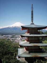 🌸 富士山下的靜謐時光｜新倉富士淺間神社・忠靈塔 🗻⛩️