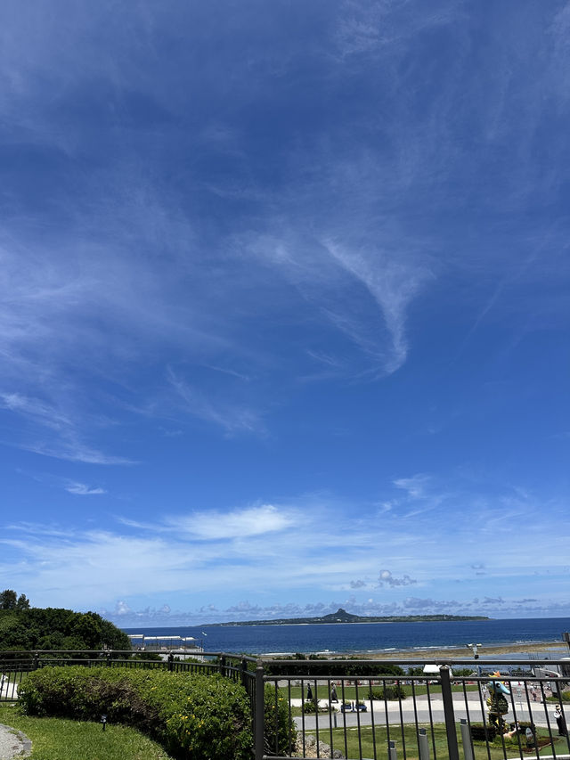沖繩美麗海水族館🐬
