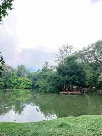 Explore the Wonders of Zoo Negara Malaysia – A Must-Visit This Summer with Kids!
