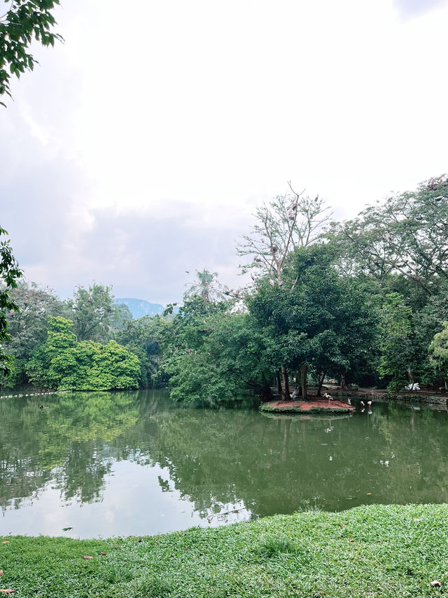 Explore the Wonders of Zoo Negara Malaysia – A Must-Visit This Summer with Kids!