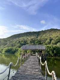สภากาแฟ กตอ. – คาเฟ่ลับที่ปกคลุมไปด้วยภูเขา
